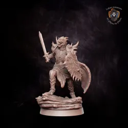 Dragonborn Paladin