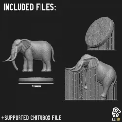 Elephant