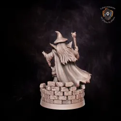 Elf Wizard