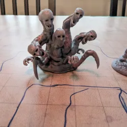 False Hydra