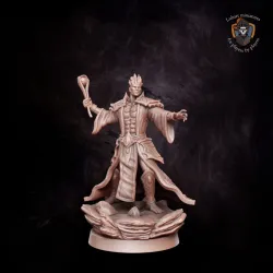 Genasi Druid