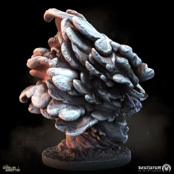 Head Cabbage Mushroom