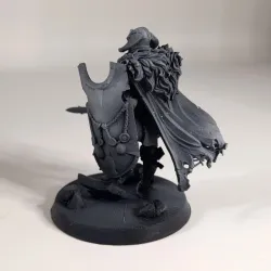 Mortal Heavy Infantry - Daemon Damzels