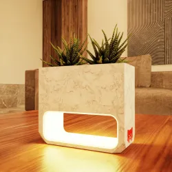 Night Lamp with Planter