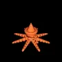 Octopus with witch hat