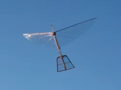 Ornithopter