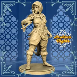 Rogue - Playable Character