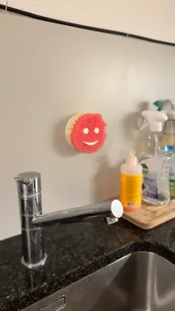 Scrub Daddy / Mommy Holder