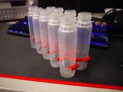 Simple bottle holder fo 60ml bottles