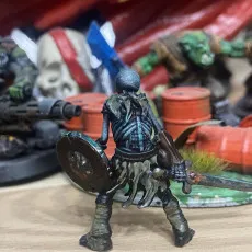 Skeleton warrior