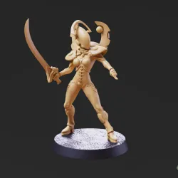 Space Elf Warmancer Vol 2 - Pose 1 + Pinups
