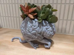 Succulent Devourer - Intellect Devourer Planter