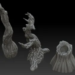 Swamp Trees