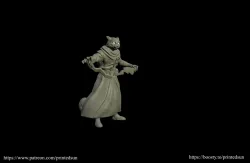 Tabaxi Mage