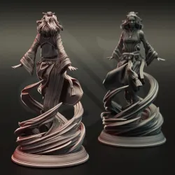 Air Genasi Aeromancer - Avia Shun