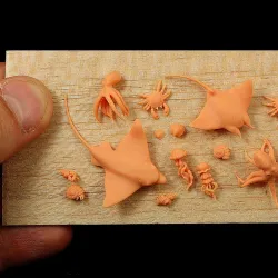 Animal Set 10 - Sea II - Sting Rays, Octopus, Jellyfish...