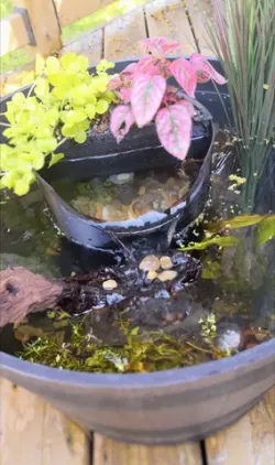 Barrel Pond