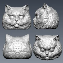 Cat Head 01
