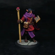 Elf Wizard (PRESUPPORTED)