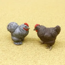 Fluffy Hens