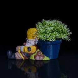 Gardening Gnome - Snooze