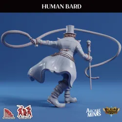 Human Bard Male
