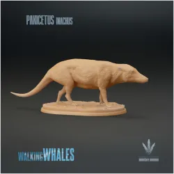 Pakicetus inachus : Dog-like Whale