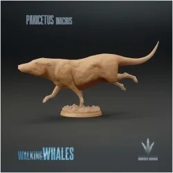 Pakicetus inachus : Swimming