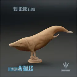 Protocetus atavus : The First Whale
