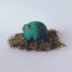 Rain Frog