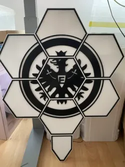 SGE Logo for Hexaleaf Cover