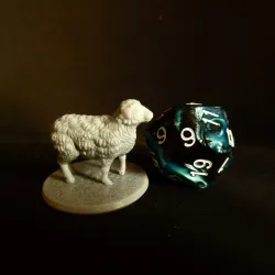 Sheep Family