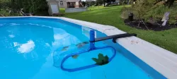 Swimming Pool Leaf Skimmer