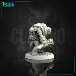 (0166) Male turtle wizard with a magic staff
