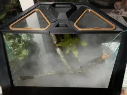 40 GAL Hexagon tank top