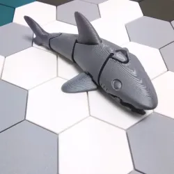 Articulated Shark