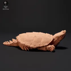 Common Snapping Turtle Sunbathing