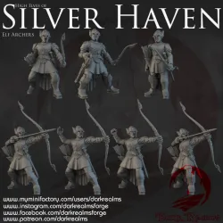 Dark Realms - Silver Haven - Elf Warriors