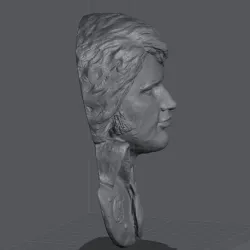 Elvis inspired sculpture. Wall mountable.