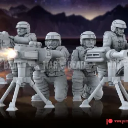 Federation Infantry Brigade