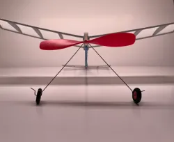 Free Flight Airplane