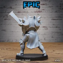 Heart Knight Attack / Royal Warrior / Fighting Guard / Armored Fighter / Evil Castle Encounter