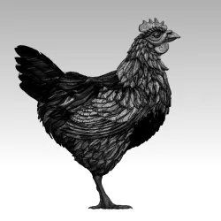 hen rooster statue