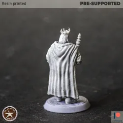 Human King Standing