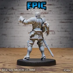 Knight Sir Tristan / Royal Male Warrior / Fighting Guard / Armored Fighter / Evil Castle Encounter