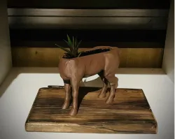 planter: centaur or horse?