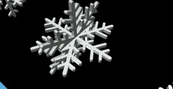 Snowflake snowflakes