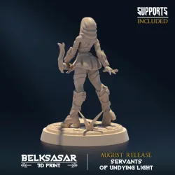 Undying Light Sentinel E