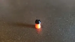 22 Pellet 0.3