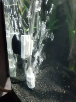 aquarium airline tubing holder with suction cup adapter